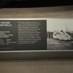 Peterson_053 (July 28, 2019)